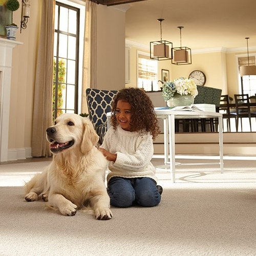The latest carpet in Ellettsville, IN from Owen Valley Flooring
