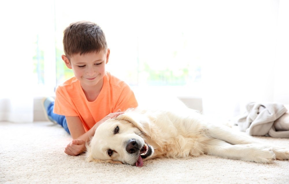 Child playing on waterproof All Pet Protection Carpet Flooring