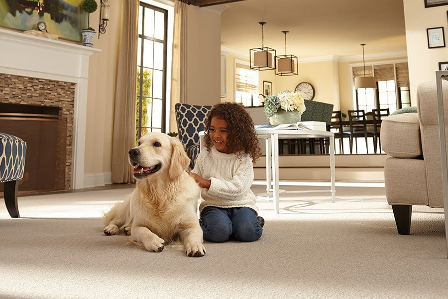 The latest carpet in Ellettsville, IN from Owen Valley Flooring