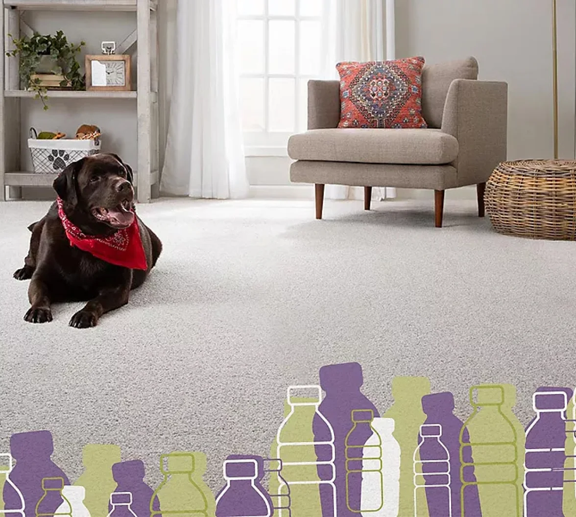 Mohawk PETPremier™ – inherently stain-resistant, beautiful PET carpet backed by our All Pet® warranty.