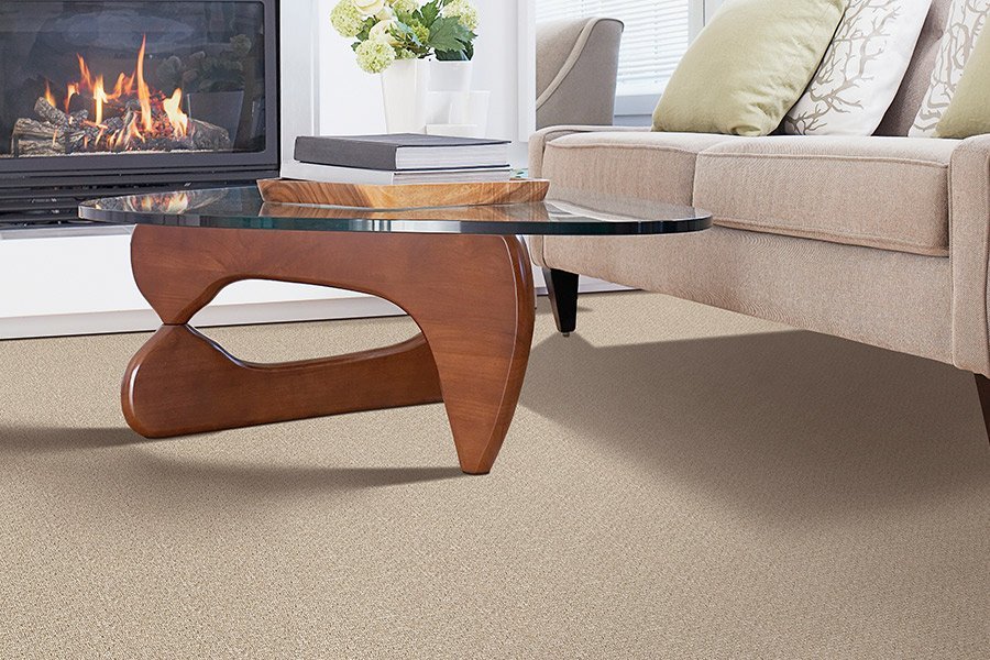 Stylish carpet in Cloverdale, IN from Owen Valley Flooring