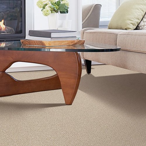 Stylish carpet in Cloverdale, IN from Owen Valley Flooring