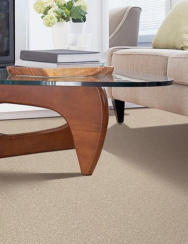 Stylish carpet in Cloverdale, IN from Owen Valley Flooring